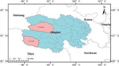 Regional water resources carrying capacity in China based on analytic hierarchy process and system dynamics model: a case study of Golmud City